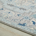 Area Rug - Catalina CAT100B